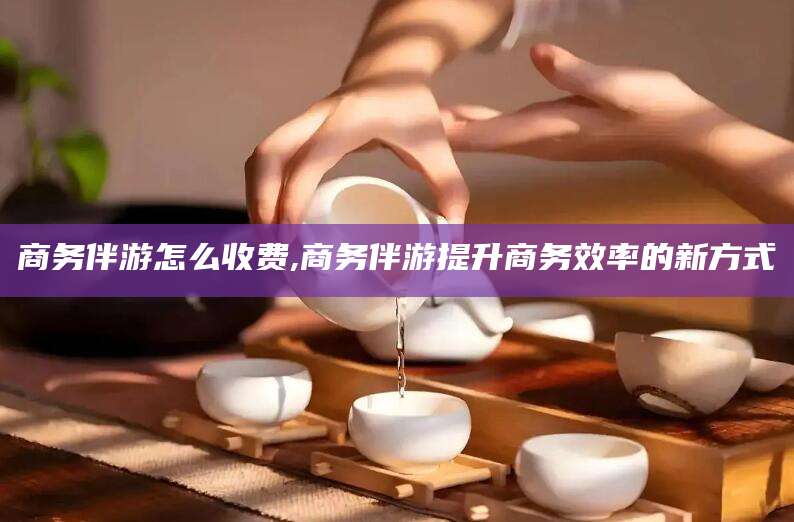 海宁商务伴游怎么收费,商务伴游提升商务效率的新方式